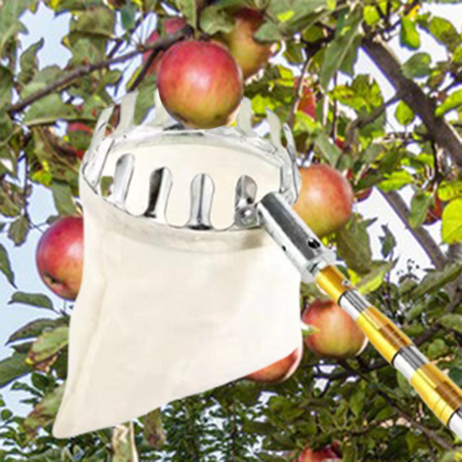 Agriculture Farming Practices - Paslanmaz Çelik Meyve Seçici Tarımsal Donanım