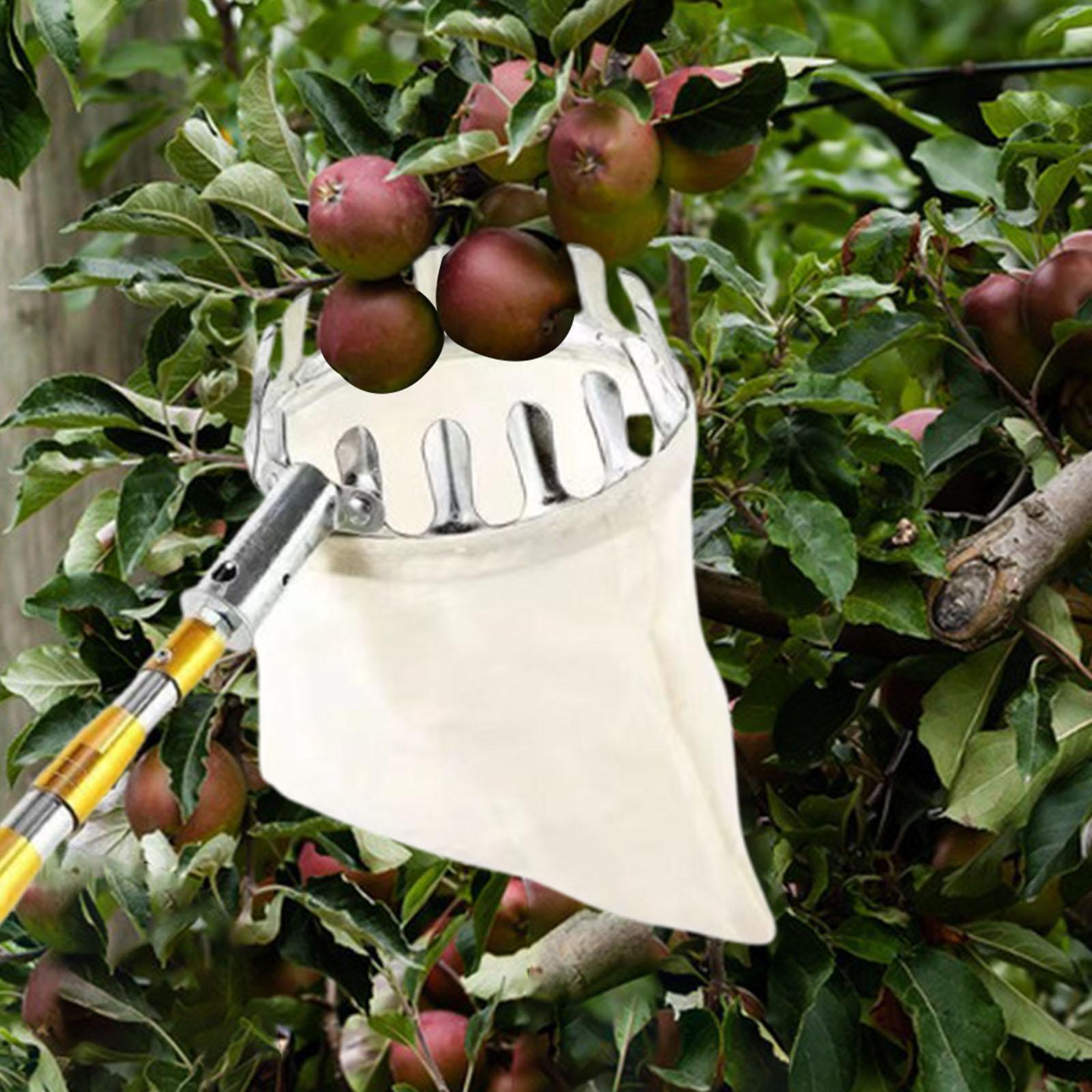 Paslanmaz Çelik Meyve Seçici T - Agriculture Farming Practices incelemesi ve fiyatı