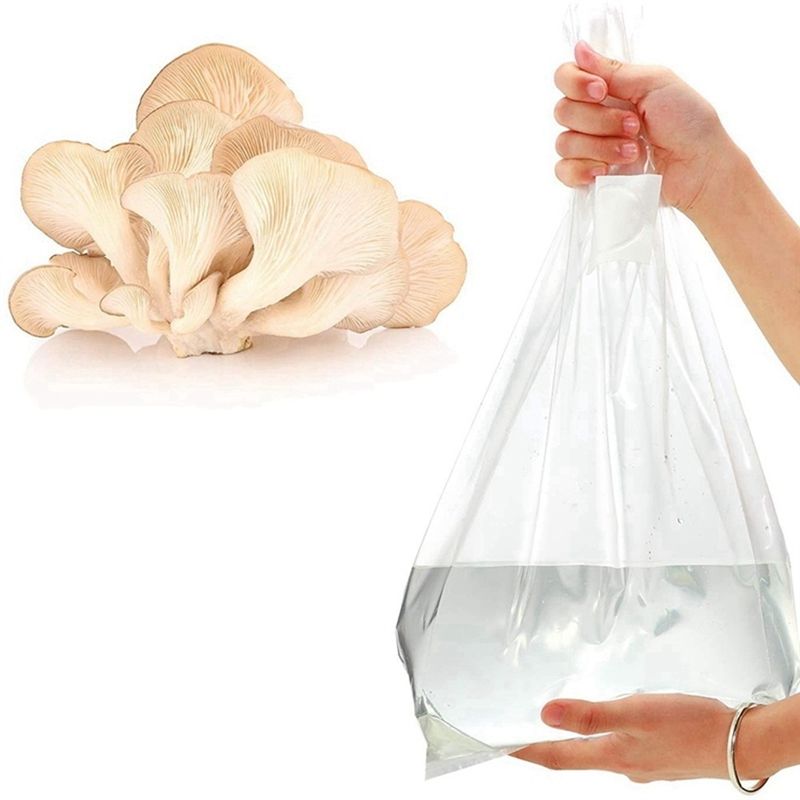 PZHI-100 Adet Mantar Yetiştirm - Mushroom Spawn Bag incelemesi ve fiyatı