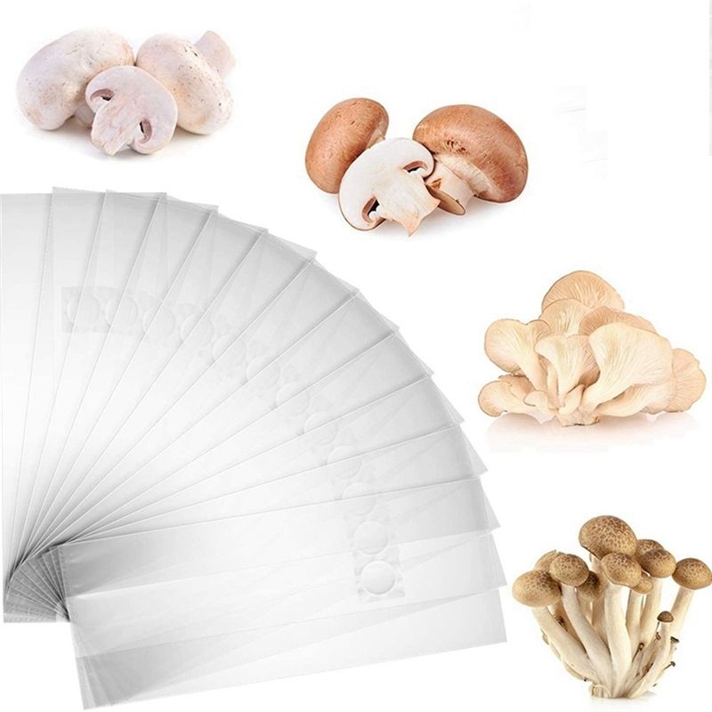 PZHI-100 Adet Mantar Yetiştirm - Mushroom Spawn Bag incelemesi ve fiyatı