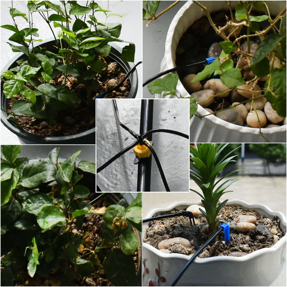 Sera Saksı Kavisli Ok Damla Su - Irrigation Drip Tape incelemesi ve fiyatı